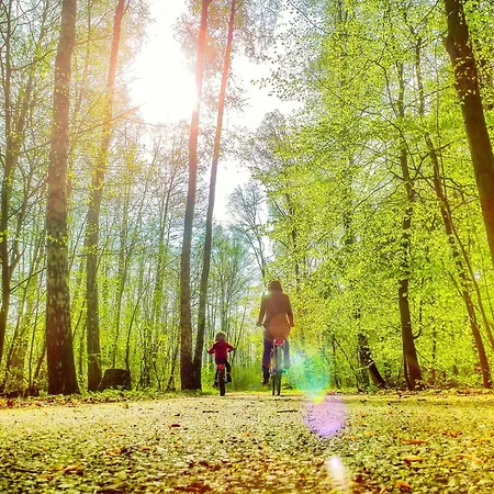 Bungis,de - 28 Ferienhaeuser Am Grimnitzsee G7 Joachimsthal