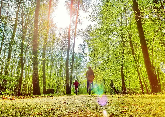 Bungis - 28 Ferienhaeuser Am Grimnitzsee G7 يواخيمستال